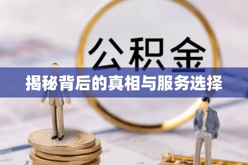 碧江揭秘背后的真相与服务选择