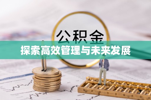 碧江探索高效管理与未来发展