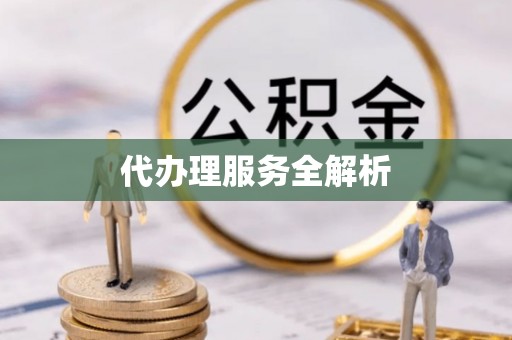 碧江代办理服务全解析