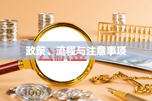 碧江政策、流程与注意事项