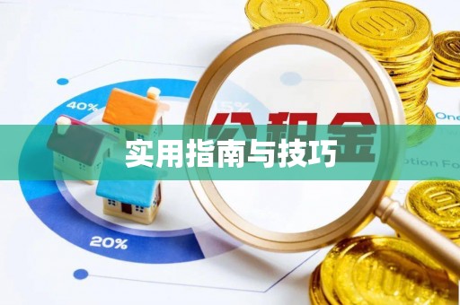 碧江实用指南与技巧
