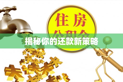 碧江揭秘你的还款新策略