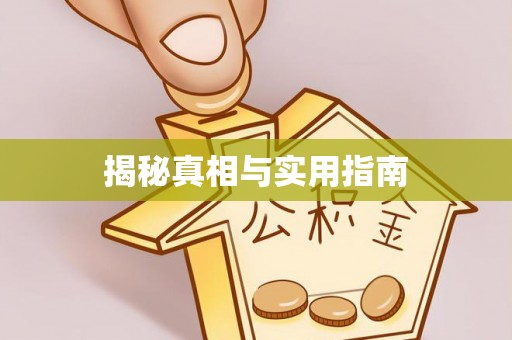 碧江揭秘真相与实用指南