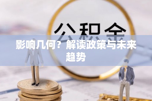 碧江影响几何？解读政策与未来趋势