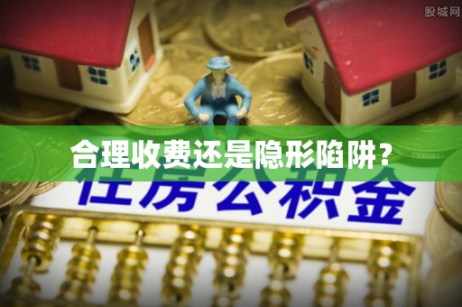 碧江合理收费还是隐形陷阱？