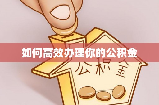 碧江如何高效办理你的公积金
