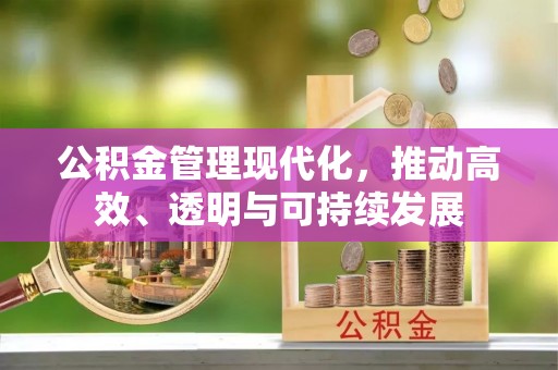 碧江公积金管理现代化，推动高效、透明与可持续发展