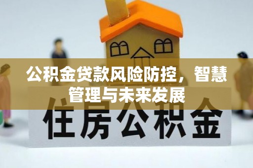 碧江公积金贷款风险防控，智慧管理与未来发展