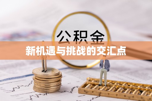 碧江新机遇与挑战的交汇点