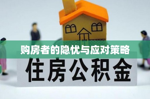 碧江购房者的隐忧与应对策略