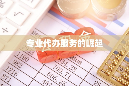碧江专业代办服务的崛起