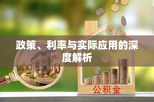 碧江政策、利率与实际应用的深度解析