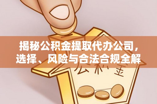 碧江揭秘公积金提取代办公司，选择、风险与合法合规全解析