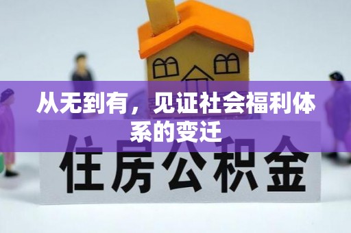 碧江从无到有，见证社会福利体系的变迁