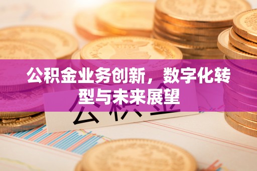 碧江公积金业务创新，数字化转型与未来展望