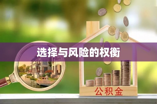 碧江选择与风险的权衡
