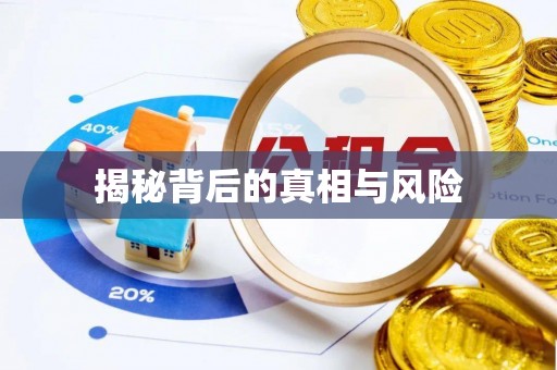 碧江揭秘背后的真相与风险