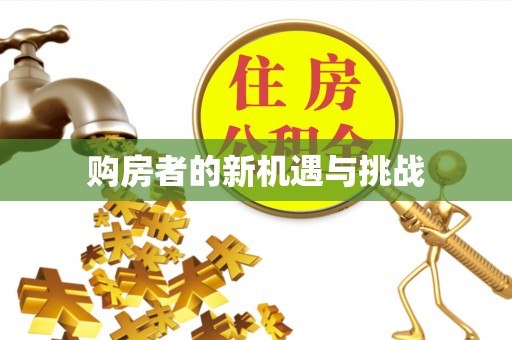碧江购房者的新机遇与挑战