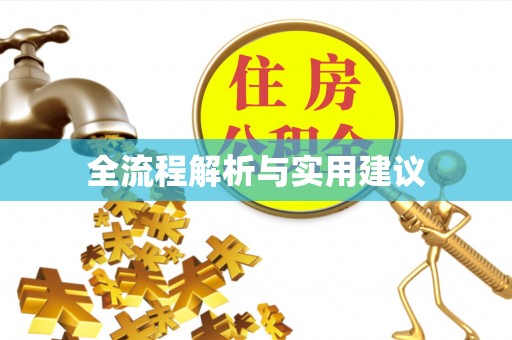 碧江全流程解析与实用建议