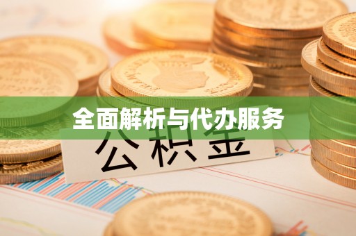 碧江全面解析与代办服务