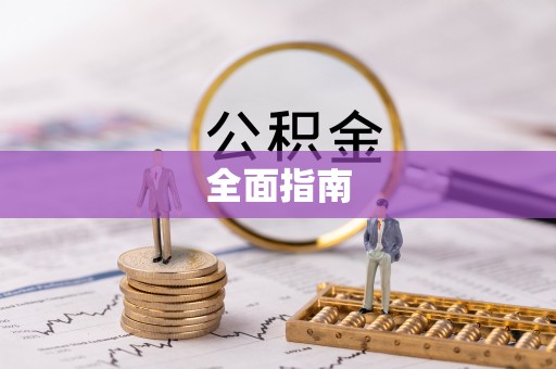 碧江全面指南