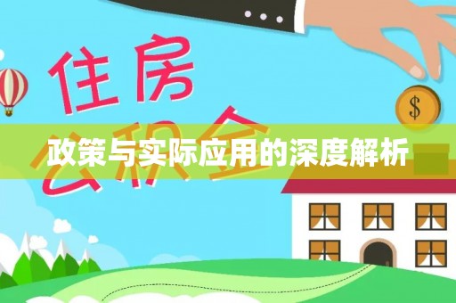 碧江政策与实际应用的深度解析
