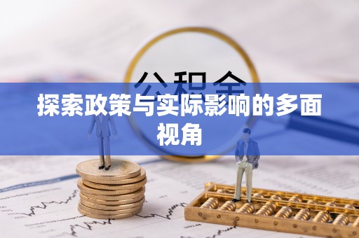 碧江探索政策与实际影响的多面视角