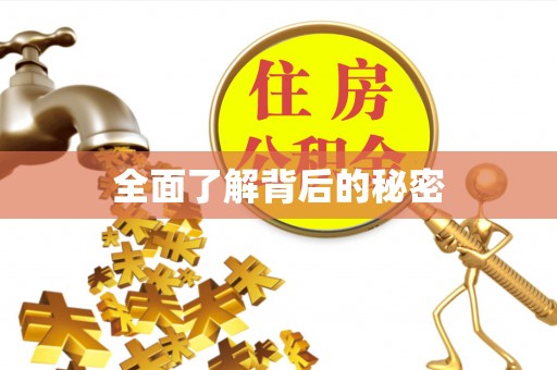 碧江全面了解背后的秘密