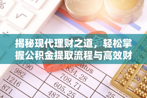 碧江揭秘现代理财之道，轻松掌握公积金提取流程与高效财务规划