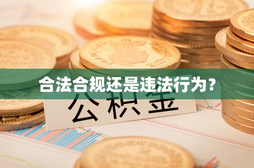碧江合法合规还是违法行为？