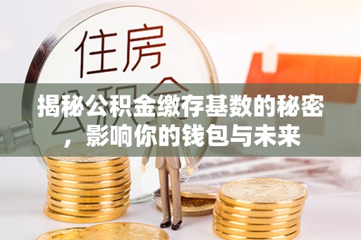 碧江揭秘公积金缴存基数的秘密，影响你的钱包与未来