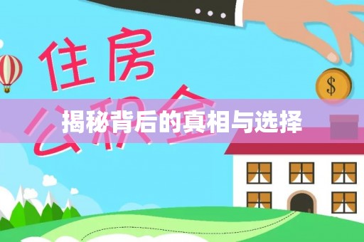 碧江揭秘背后的真相与选择