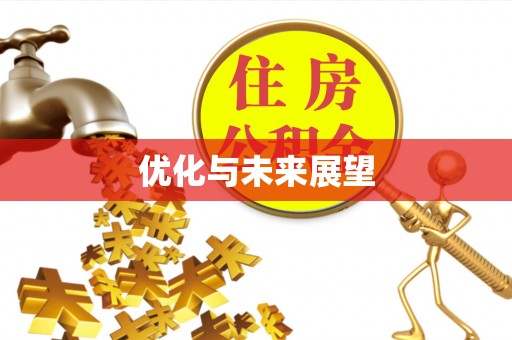 碧江优化与未来展望