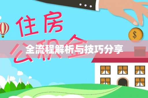 碧江全流程解析与技巧分享