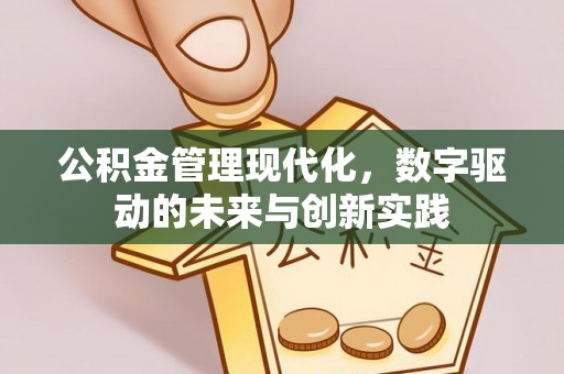 碧江公积金管理现代化，数字驱动的未来与创新实践