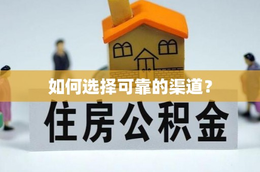 碧江如何选择可靠的渠道？
