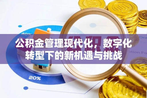 碧江公积金管理现代化，数字化转型下的新机遇与挑战