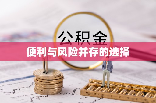 碧江便利与风险并存的选择