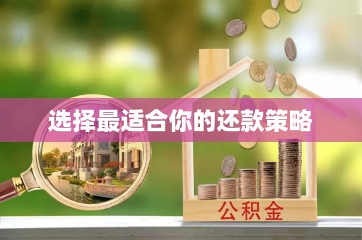 碧江选择最适合你的还款策略