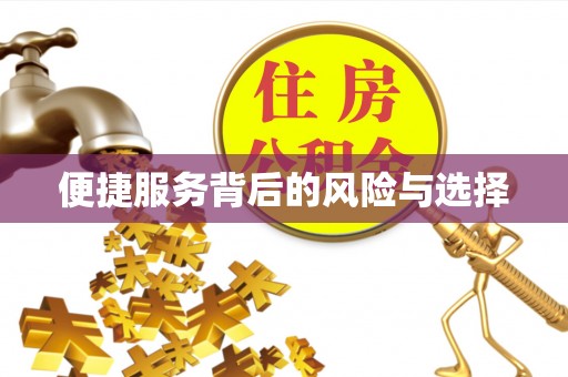 碧江便捷服务背后的风险与选择