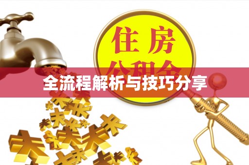 碧江全流程解析与技巧分享