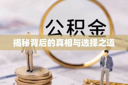 碧江揭秘背后的真相与选择之道