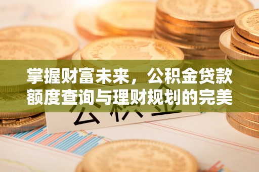 碧江掌握财富未来，公积金贷款额度查询与理财规划的完美结合
