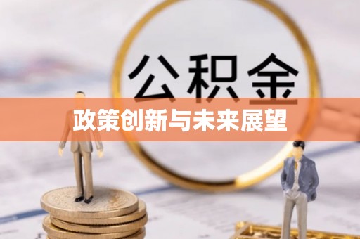 碧江政策创新与未来展望