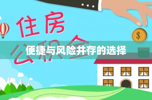 碧江便捷与风险并存的选择