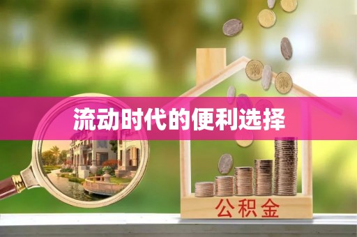 碧江流动时代的便利选择