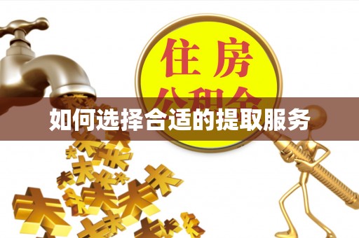 碧江如何选择合适的提取服务